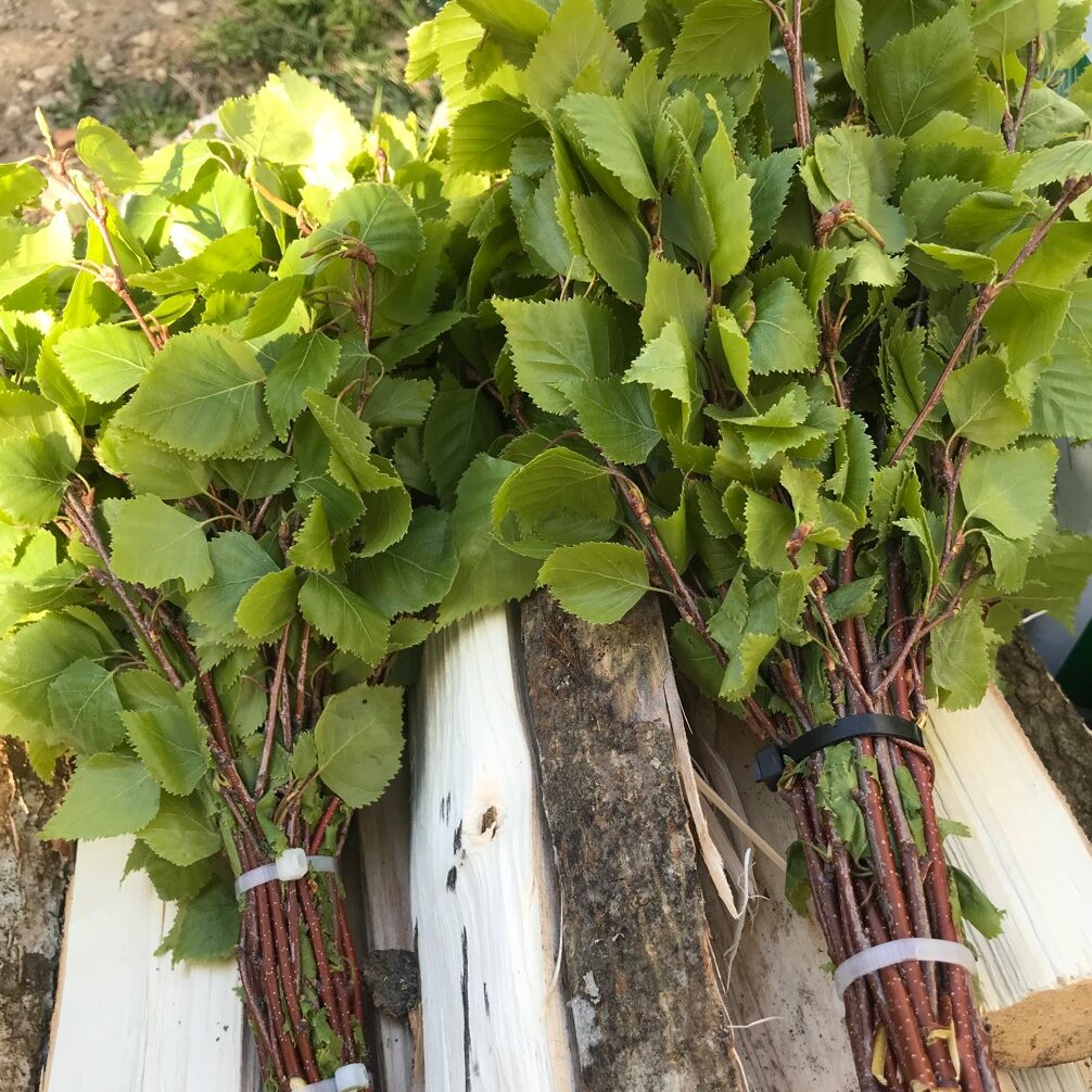 capture d’écran 2024 03 26 152538